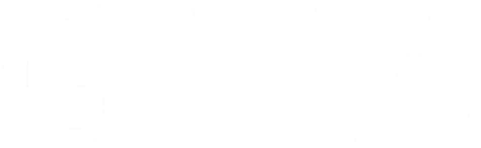 Gizia logo